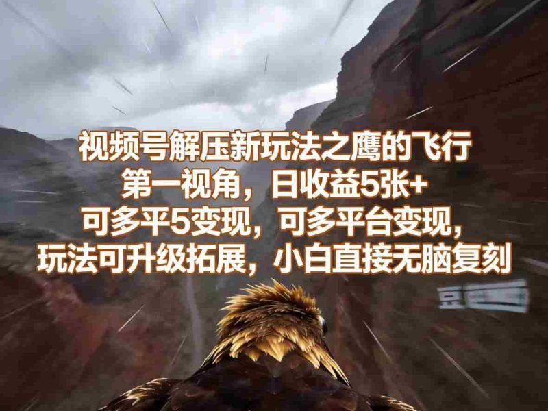 视频号解压新玩法之鹰的飞行第一视角,日收益5张+,可多平台变现,玩法可升级拓展,小白直接无脑复刻-中薪网