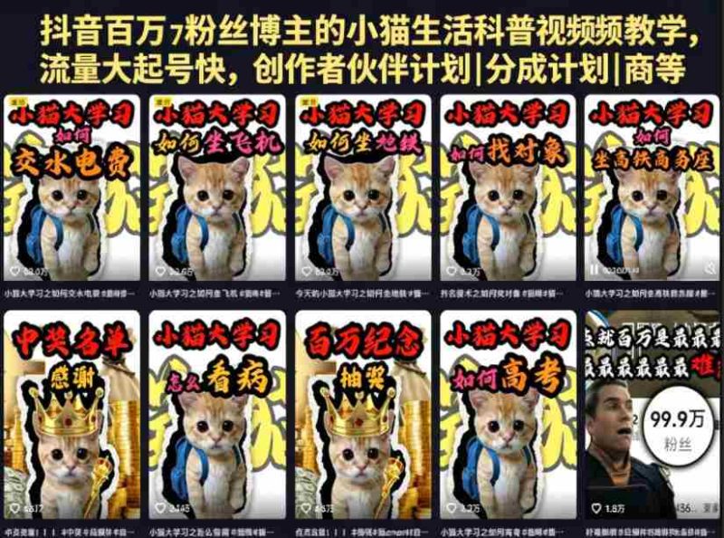 抖音百万粉丝博主的小猫生活科普视频教学,流量大起号快,创作者伙伴计划|分成计划|商单|收徒等-中薪网