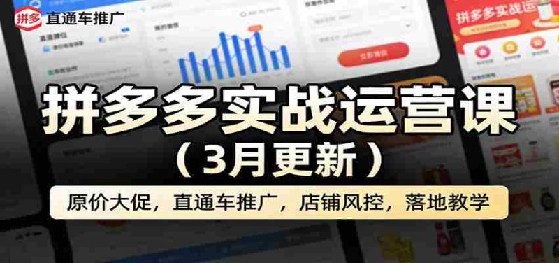拼多多实战运营课(3月更新):原价大促,直通车推广,店铺风控,落地教学-中薪网
