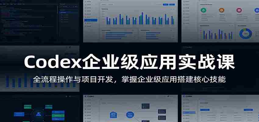 Codex企业级应用实战课：全流程操作与项目开发，掌握企业级应用搭建核心技能-中薪网