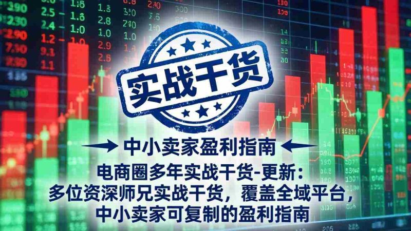 (18534期)电商圈多年实战干货-更新5月20:多位资深师兄实战干货/覆盖全域平台,中小卖家可复制的盈利指南-中薪网
