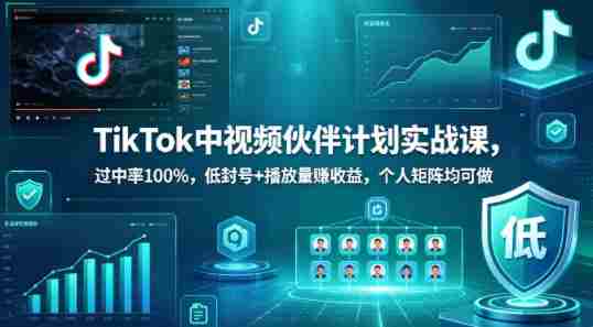 TikTok中视频伙伴计划实战课，过中率100%，低封号+播放量賺收益，个人矩阵均可做-中薪网